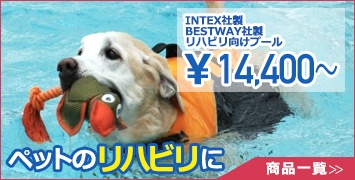 �y�b�g�����̑�^�v�[��